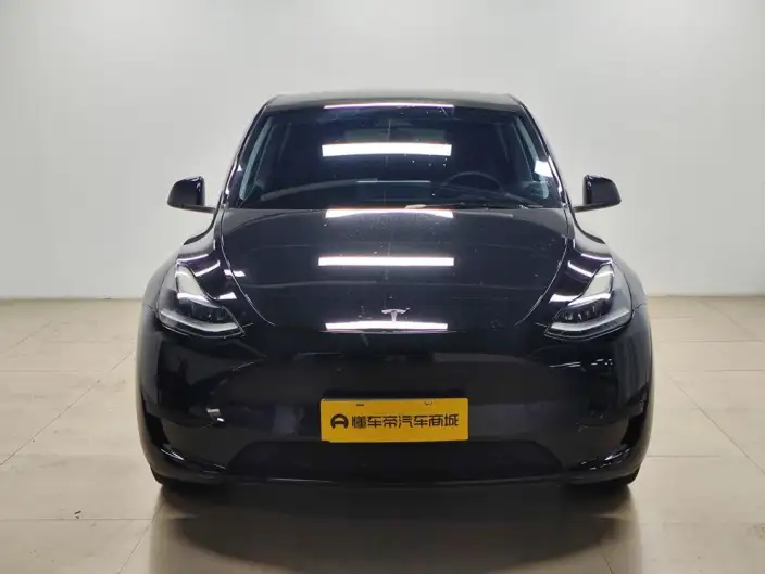 Model Y 2022 Model Rear-wheel drive version – фото 2