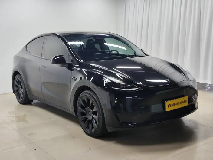 Model Y 2022 Model Rear-wheel drive version – фото 3