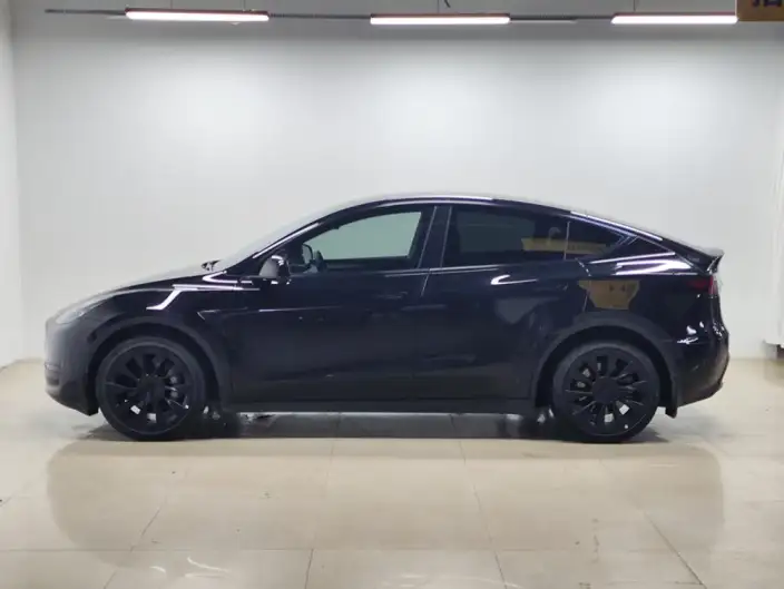 Model Y 2022 Model Rear-wheel drive version – фото 4