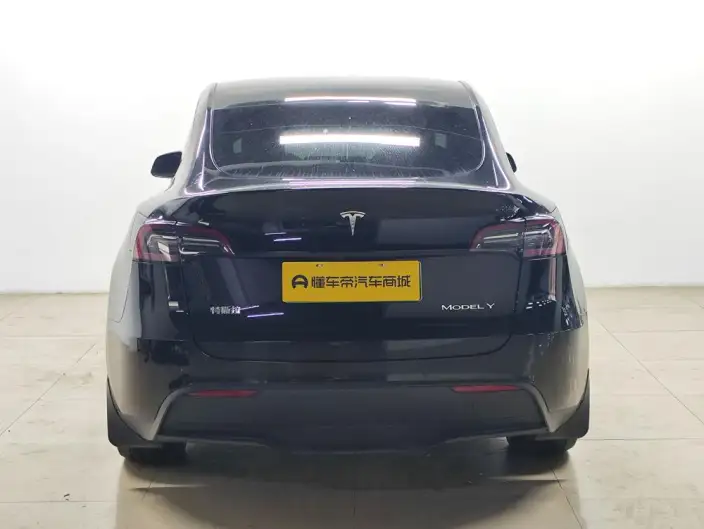 Model Y 2022 Model Rear-wheel drive version – фото 6