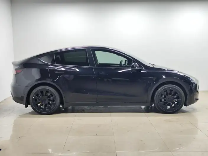 Model Y 2022 Model Rear-wheel drive version – фото 8