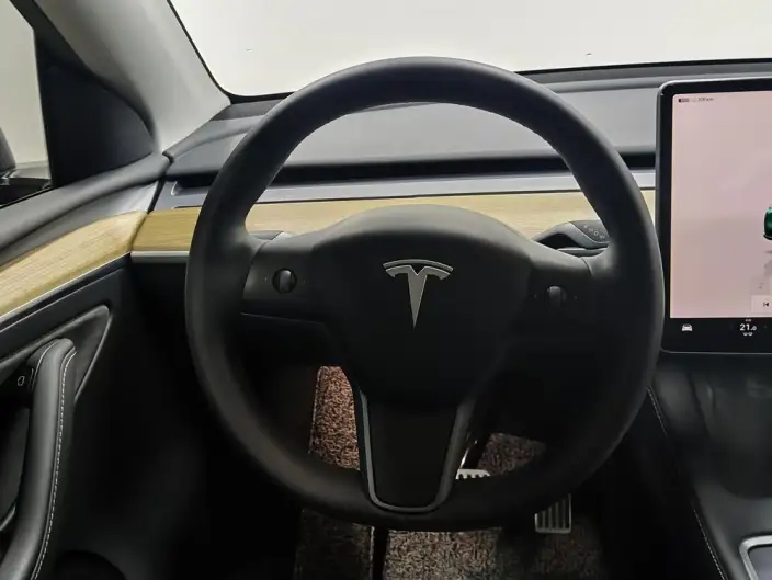 Model Y 2022 Model Rear-wheel drive version – фото 16