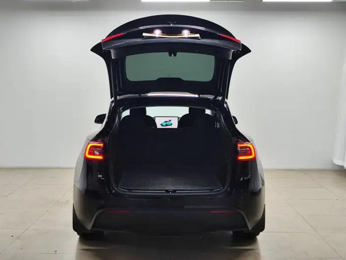 Model Y 2022 Model Rear-wheel drive version – фото 20