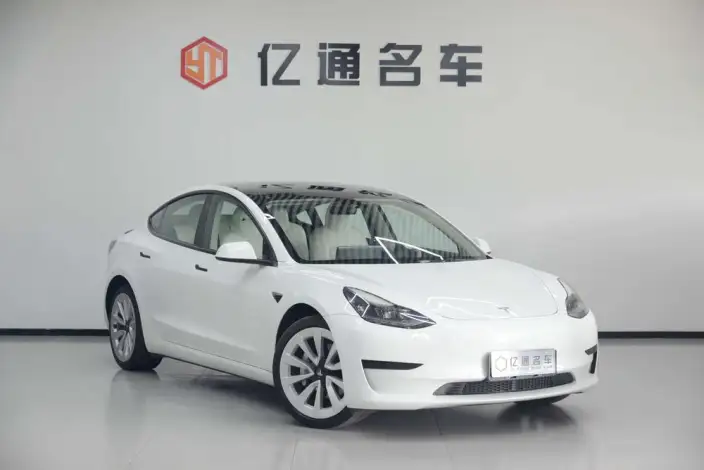 Model 3 2021 Model Standard Battery Life Rear Drive L Class Edition 3D1 – фото 3