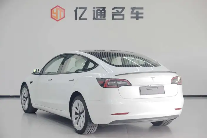 Model 3 2021 Model Standard Battery Life Rear Drive L Class Edition 3D1 – фото 4