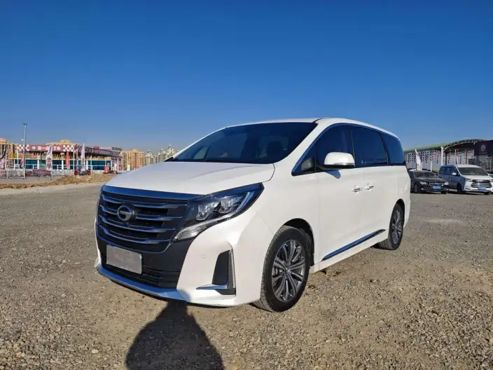 GAC Trumpchi M8 2020 Model Pilot Model 390T Premium Edition – фото 1