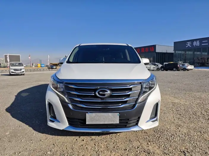 GAC Trumpchi M8 2020 Model Pilot Model 390T Premium Edition – фото 2
