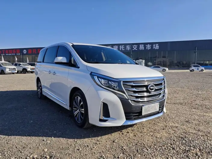 GAC Trumpchi M8 2020 Model Pilot Model 390T Premium Edition – фото 3