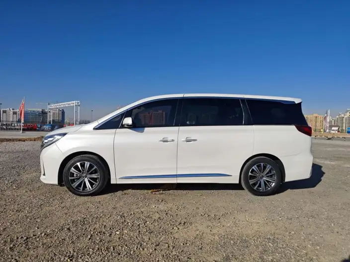 GAC Trumpchi M8 2020 Model Pilot Model 390T Premium Edition – фото 4