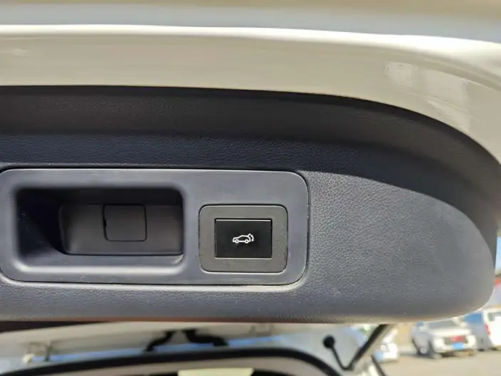 GAC Trumpchi M8 2020 Model Pilot Model 390T Premium Edition – фото 24