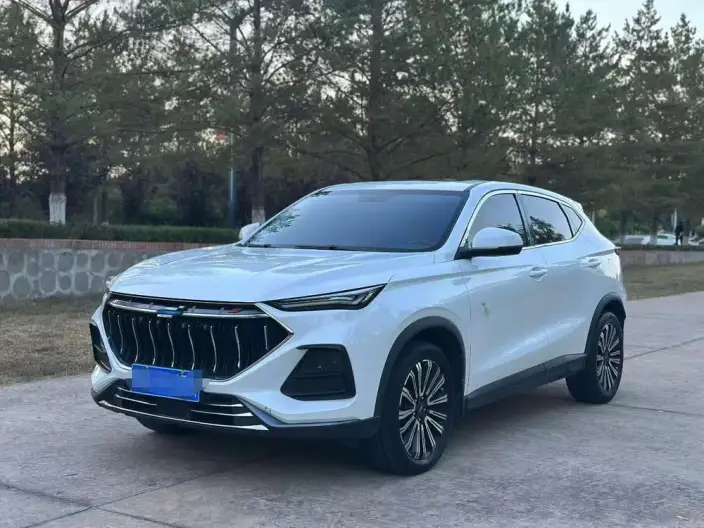 Changan Oshan X5 2021 Model 1.5T DCT Noble Model – фото 1