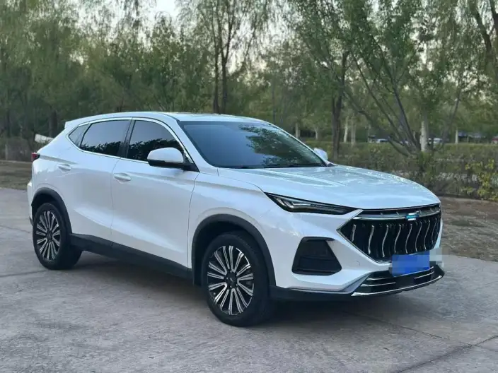 Changan Oshan X5 2021 Model 1.5T DCT Noble Model – фото 3