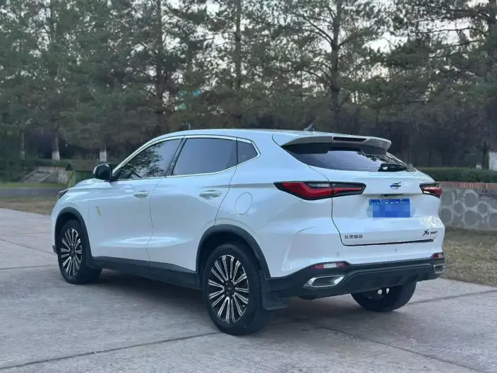 Changan Oshan X5 2021 Model 1.5T DCT Noble Model – фото 4