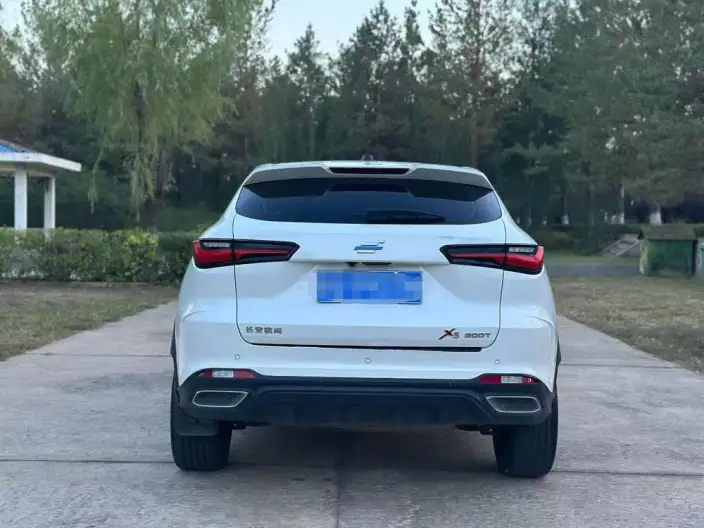 Changan Oshan X5 2021 Model 1.5T DCT Noble Model – фото 5