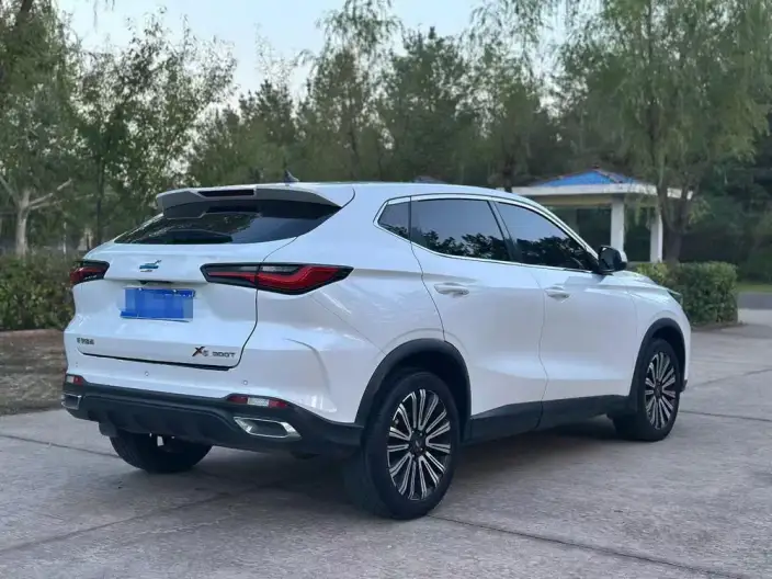 Changan Oshan X5 2021 Model 1.5T DCT Noble Model – фото 6