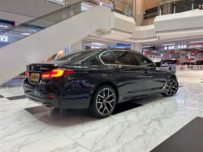 BMW 5 Series 2021 Model Facelift 530Li Leading Model M Sports Set – фото 6