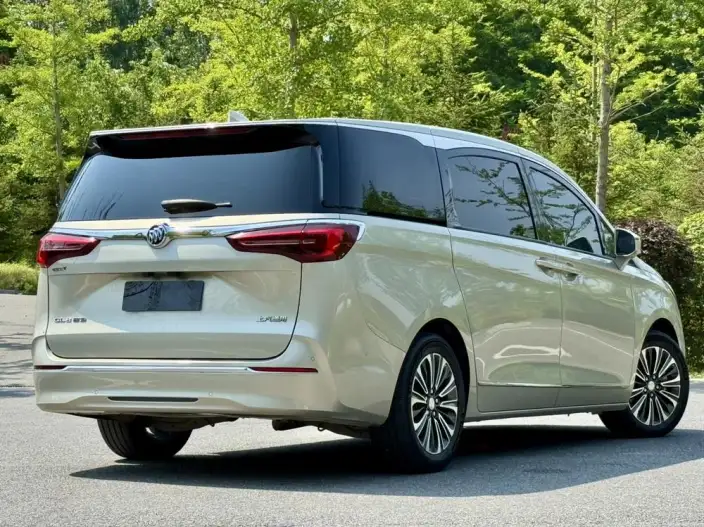 Buick GL8 2022 Model ES Luzun 653T Flagship Model – фото 3