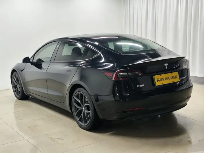 Model 3 2021 Model Performance High performance All-wheel drive version 3D3/3D6 – фото 5