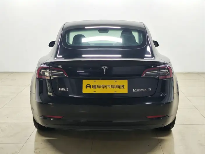 Model 3 2021 Model Performance High performance All-wheel drive version 3D3/3D6 – фото 6
