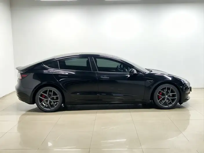 Model 3 2021 Model Performance High performance All-wheel drive version 3D3/3D6 – фото 8