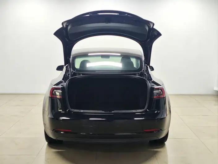 Model 3 2021 Model Performance High performance All-wheel drive version 3D3/3D6 – фото 20