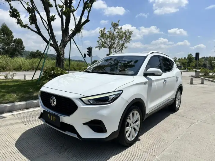MG ZS 2022 Model 1.5L CVT Global Million 958 Edition – фото 1