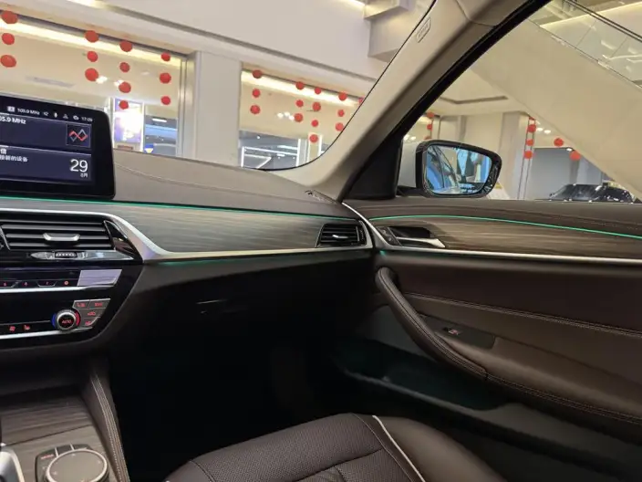 BMW 5 Series 2021 Model 530Li Leading Model Luxury Set – фото 12