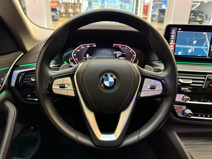 BMW 5 Series 2021 Model 530Li Leading Model Luxury Set – фото 19