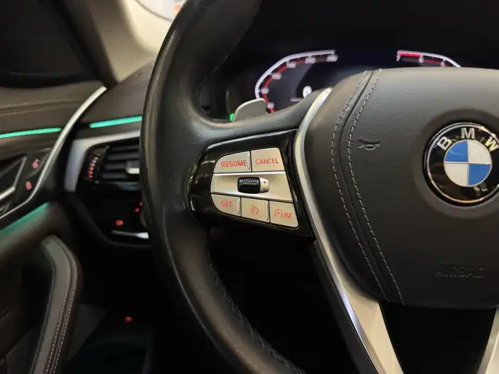 BMW 5 Series 2021 Model 530Li Leading Model Luxury Set – фото 21