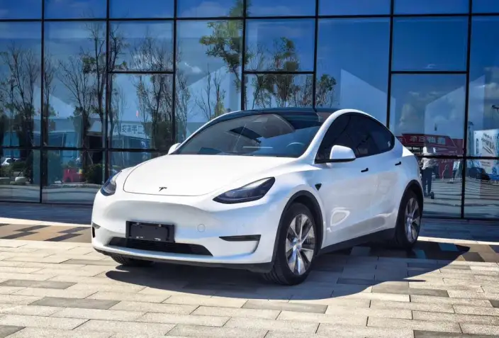 Model Y 2021 Model Long Battery Life Pro All-wheel drive version – фото 1