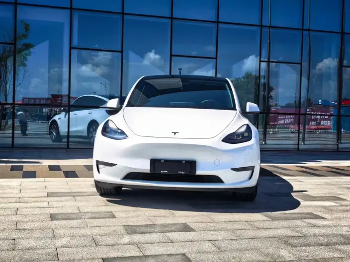 Model Y 2021 Model Long Battery Life Pro All-wheel drive version – фото 2