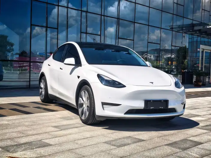 Model Y 2021 Model Long Battery Life Pro All-wheel drive version – фото 3