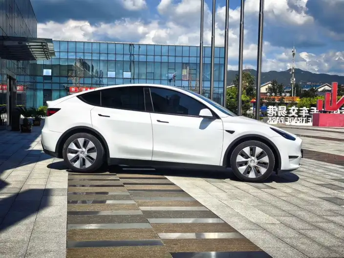 Model Y 2021 Model Long Battery Life Pro All-wheel drive version – фото 5