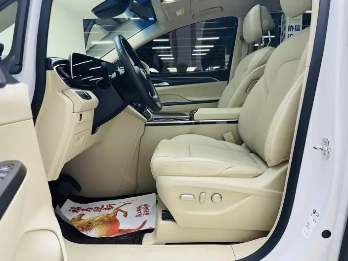 Buick GL8 2023 Model ES Luzun 2.0T Exclusive Model – фото 12