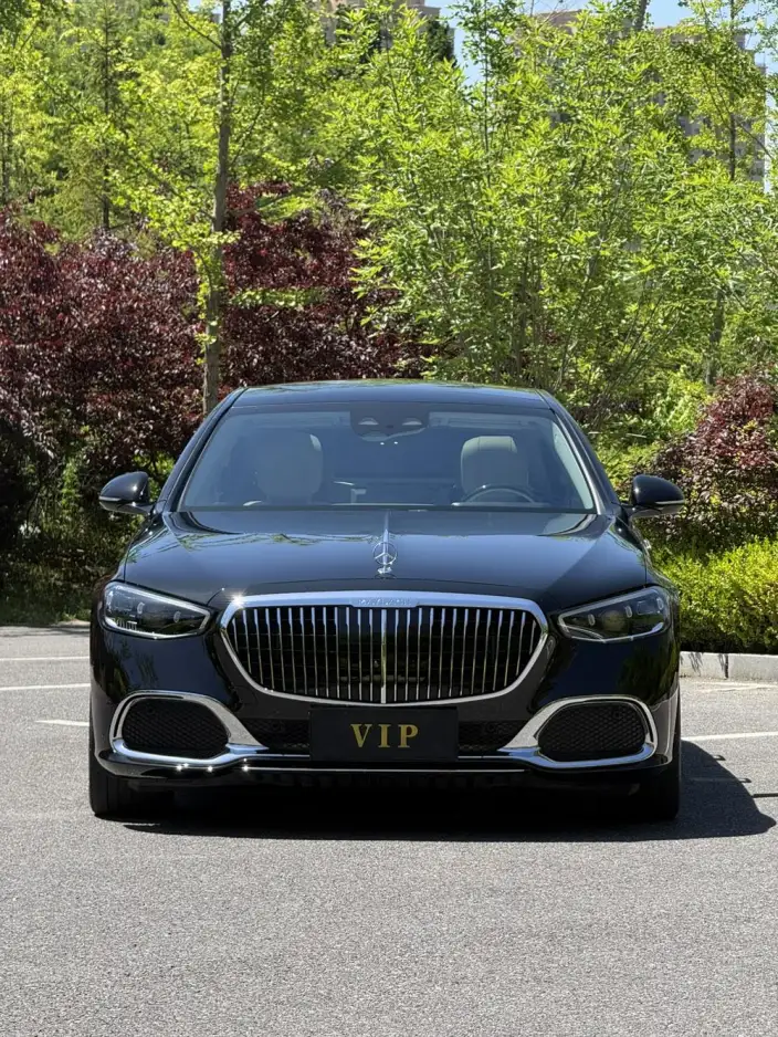 Mercedes-Maybach S-Class 2022 Model S 480 4MATIC Zhizhen Special Edition – фото 2