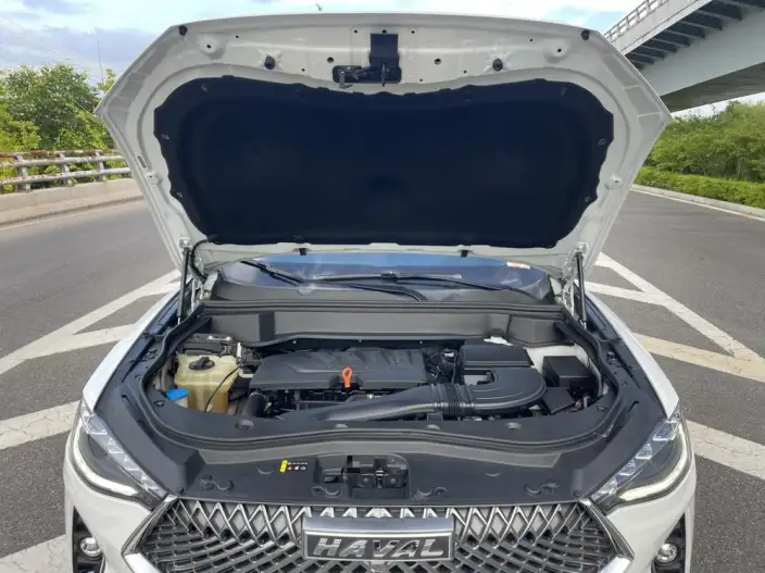 Haval F7 2020 Model 1.5T 2WD i Cool – фото 10