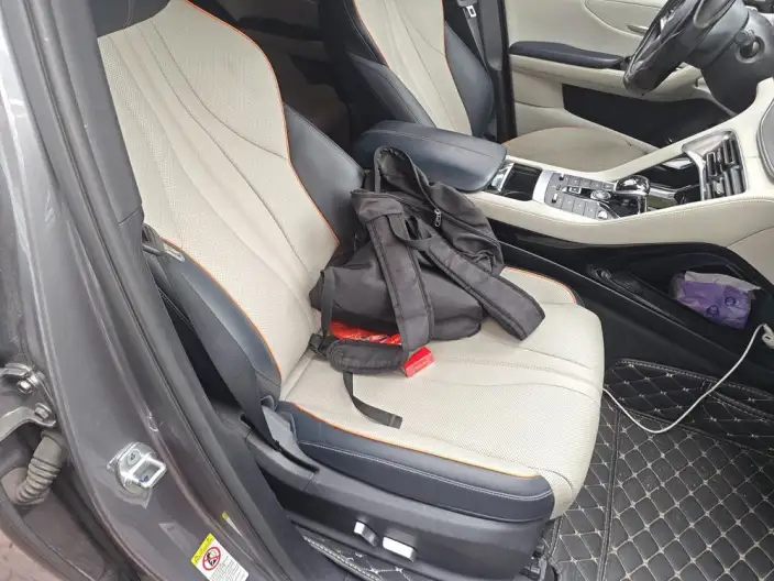 BYD Song PLUS EV 2021 Model Flagship Model – фото 11