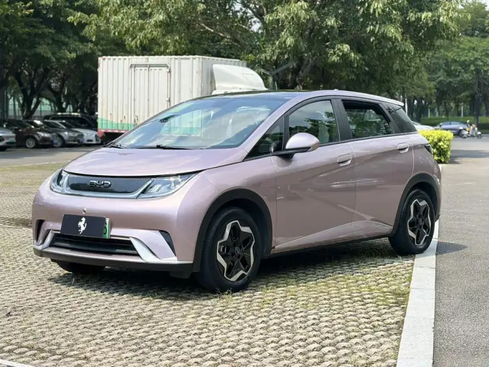 BYD Dolphin 2021 Model Fashion Edition – фото 1