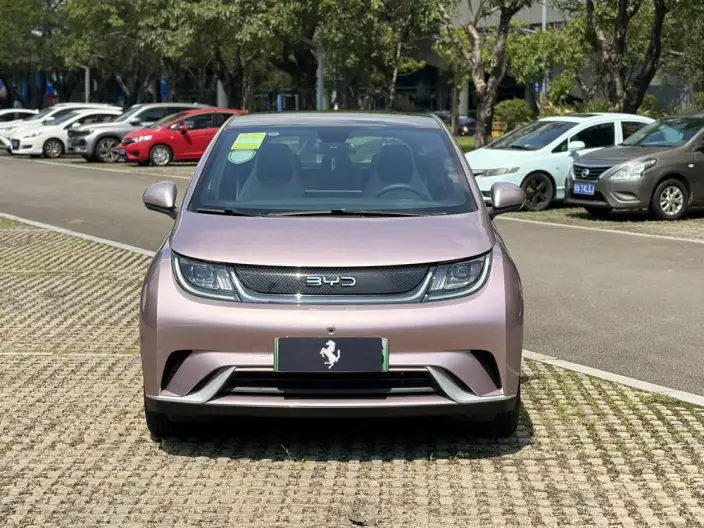 BYD Dolphin 2021 Model Fashion Edition – фото 2