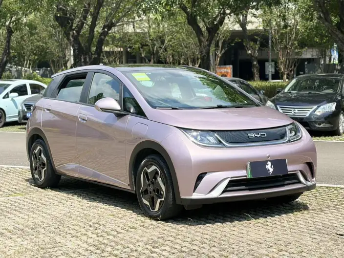 BYD Dolphin 2021 Model Fashion Edition – фото 3