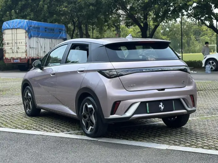 BYD Dolphin 2021 Model Fashion Edition – фото 5