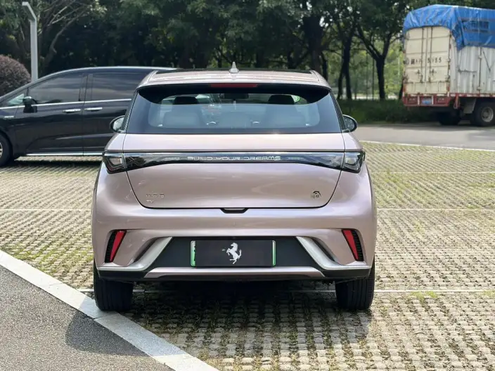 BYD Dolphin 2021 Model Fashion Edition – фото 6