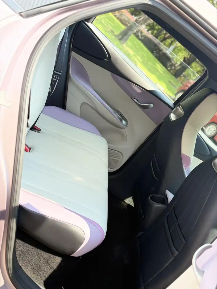 BYD Dolphin 2021 Model Fashion Edition – фото 16