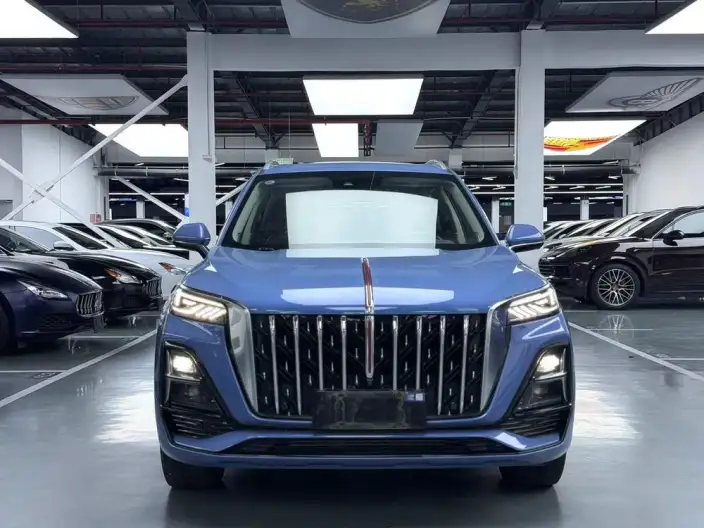Hongqi HS5 2023 Model 2.0T 4WD Flag Ling Pro Edition – фото 2