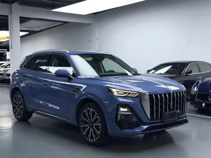 Hongqi HS5 2023 Model 2.0T 4WD Flag Ling Pro Edition – фото 3