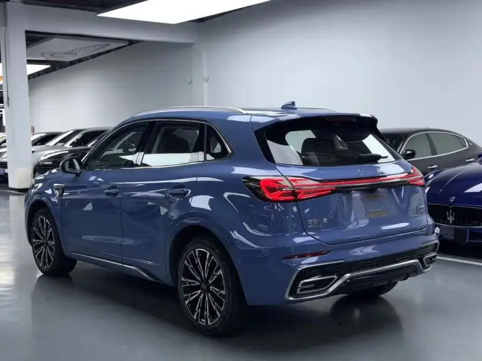 Hongqi HS5 2023 Model 2.0T 4WD Flag Ling Pro Edition – фото 4