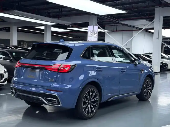 Hongqi HS5 2023 Model 2.0T 4WD Flag Ling Pro Edition – фото 6