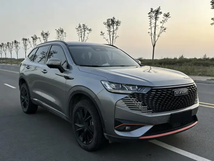 Haval H6 2021 Model Third generation 2.0T Automatic 4WD Supreme+ Edition – фото 3