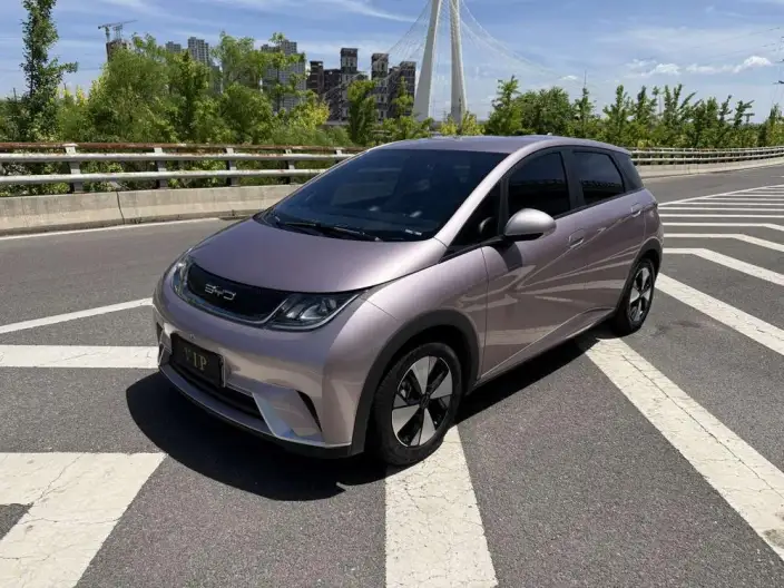 BYD Dolphin 2023 Model Free Edition – фото 1