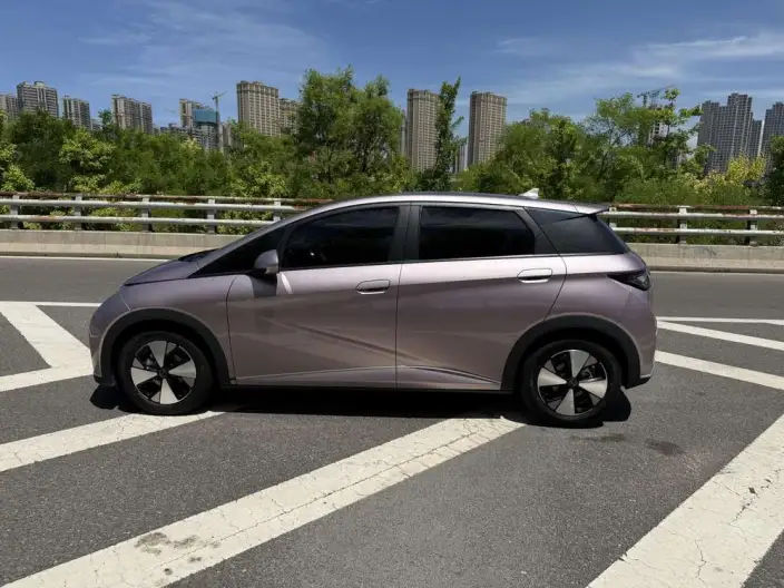 BYD Dolphin 2023 Model Free Edition – фото 4